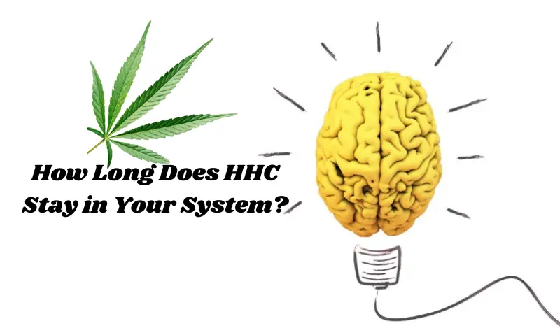 How Long Does HHC Stay in Your System