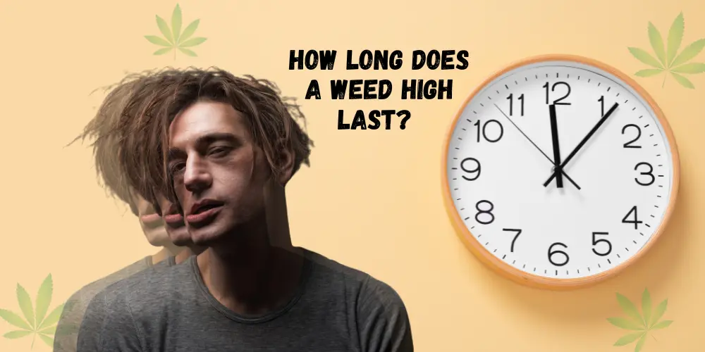 How Long Does a Weed High Last