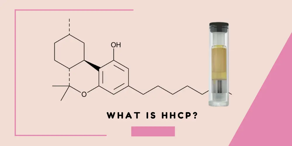 What is HHCP