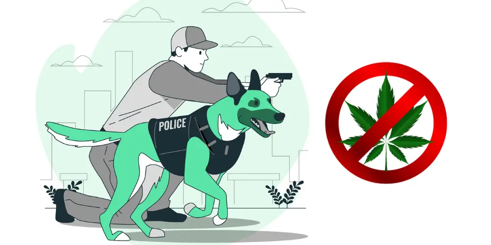 Can Sniffing Dogs Detect Vape Cartridges and Other CBD Products