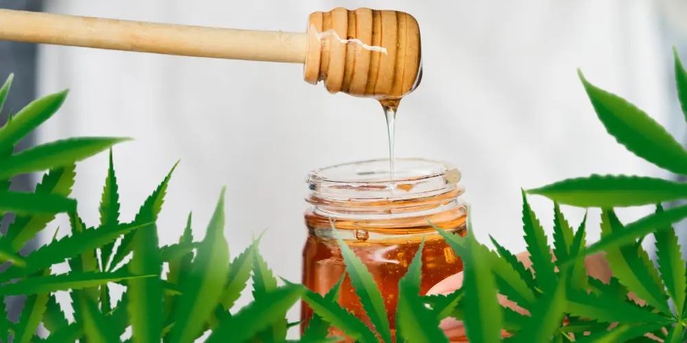 How to Make CBD Infused Honey